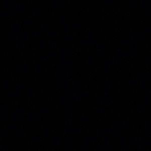 Meet your Posher, Alaina